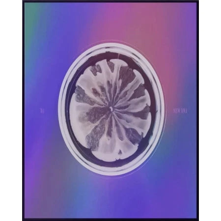 XG - 1st mini ALBUM NEW DNA X Version